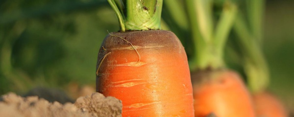 Czy samowystarczalność i odcięcie się od systemu jest możliwe?