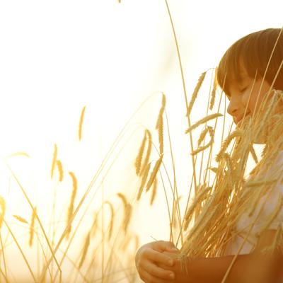 Shutterstock 109410320